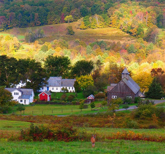 The New England Barn: An Iconic American Landmark