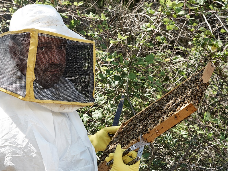 When Trudie and Sting first bought Il Palagio, Trudie asked property manager Paolo Rossi if it would be possible to start a bee colony on the estate; today there are 80 thriving hives. Sting is a Patron of the UK charity Bees for Development, which highlights the importance of beekeeping as a tool for alleviating poverty while helping retain biodiversity. Photograph: Fabrizio Cicconi