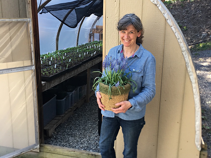Kathleen Murphy of Primrose Hill Flower Company in New York state has adapted the way she plants to enable easy picking of flowers.