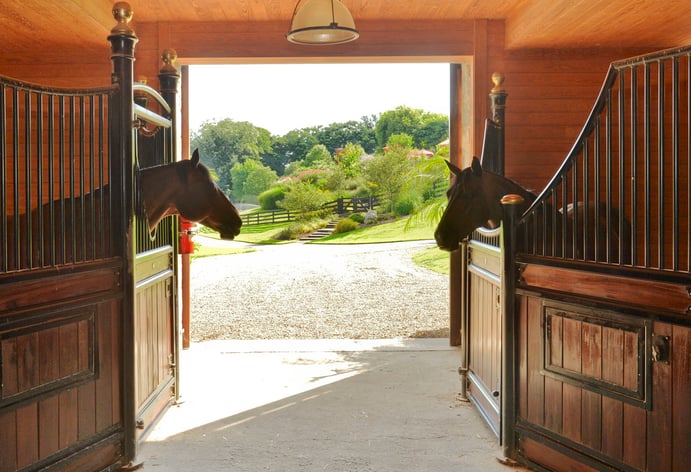 River Oak Farm has an array of facilities for sports lovers of all stripes: a 20-stall barn, riding arena, paddocks and trails, soccer field, basketball court, tennis court—plus an infinity pool and spa in which to relax after the games.