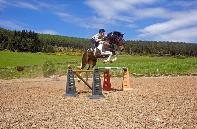 Whitehills Farm is an event rider’s paradise amid the forests and moors of northeast Scotland.